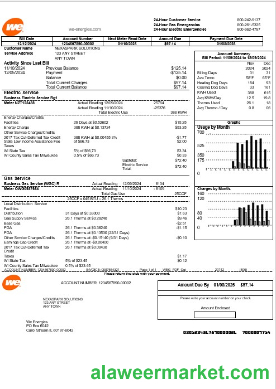 USA We business utility bill template in Word and PDF formats